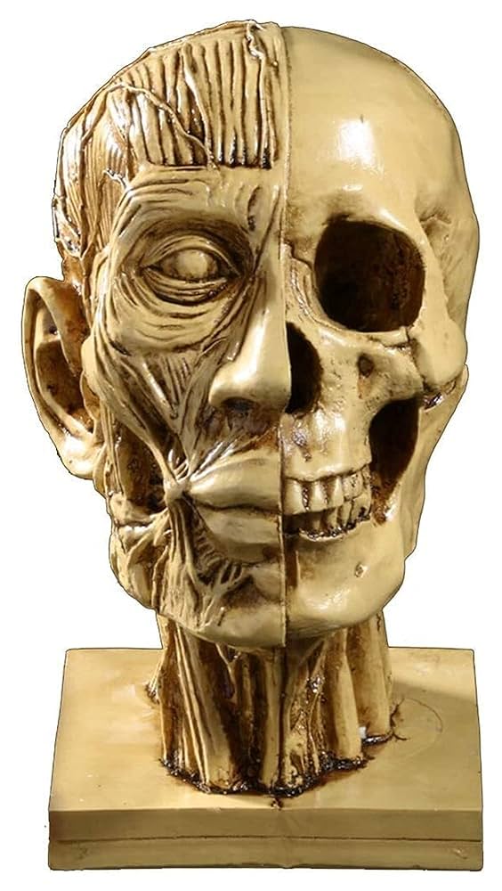 リラクゼーショングッズ Skull Lean Skull Pendant | Cyberpunk Savior